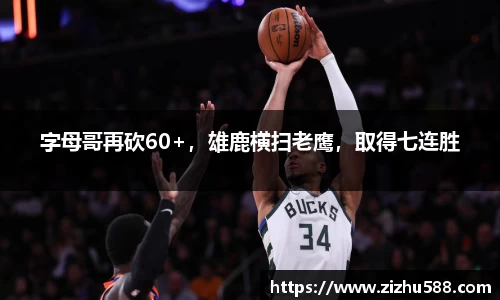 星空体育(中国)官方网站