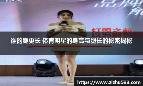 星空体育(中国)官方网站