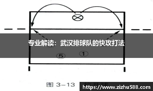 星空体育(中国)官方网站