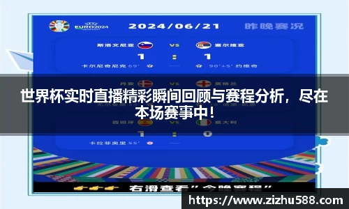 世界杯实时直播精彩瞬间回顾与赛程分析，尽在本场赛事中！