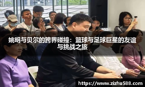 星空体育网站入口