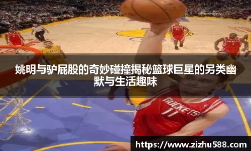 星空体育网站入口