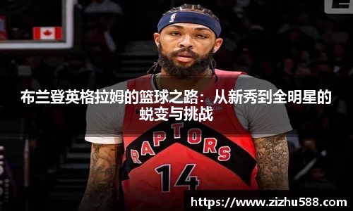 星空体育网站入口
