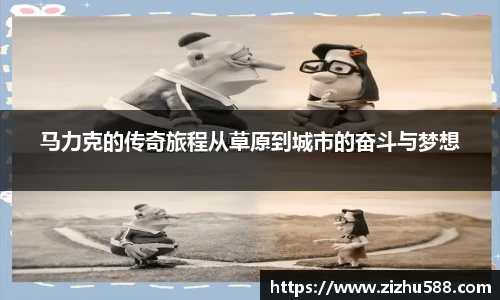 星空体育网站入口