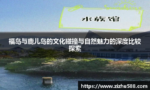 星空体育网站入口