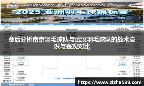 赛后分析南京羽毛球队与武汉羽毛球队的战术意识与表现对比